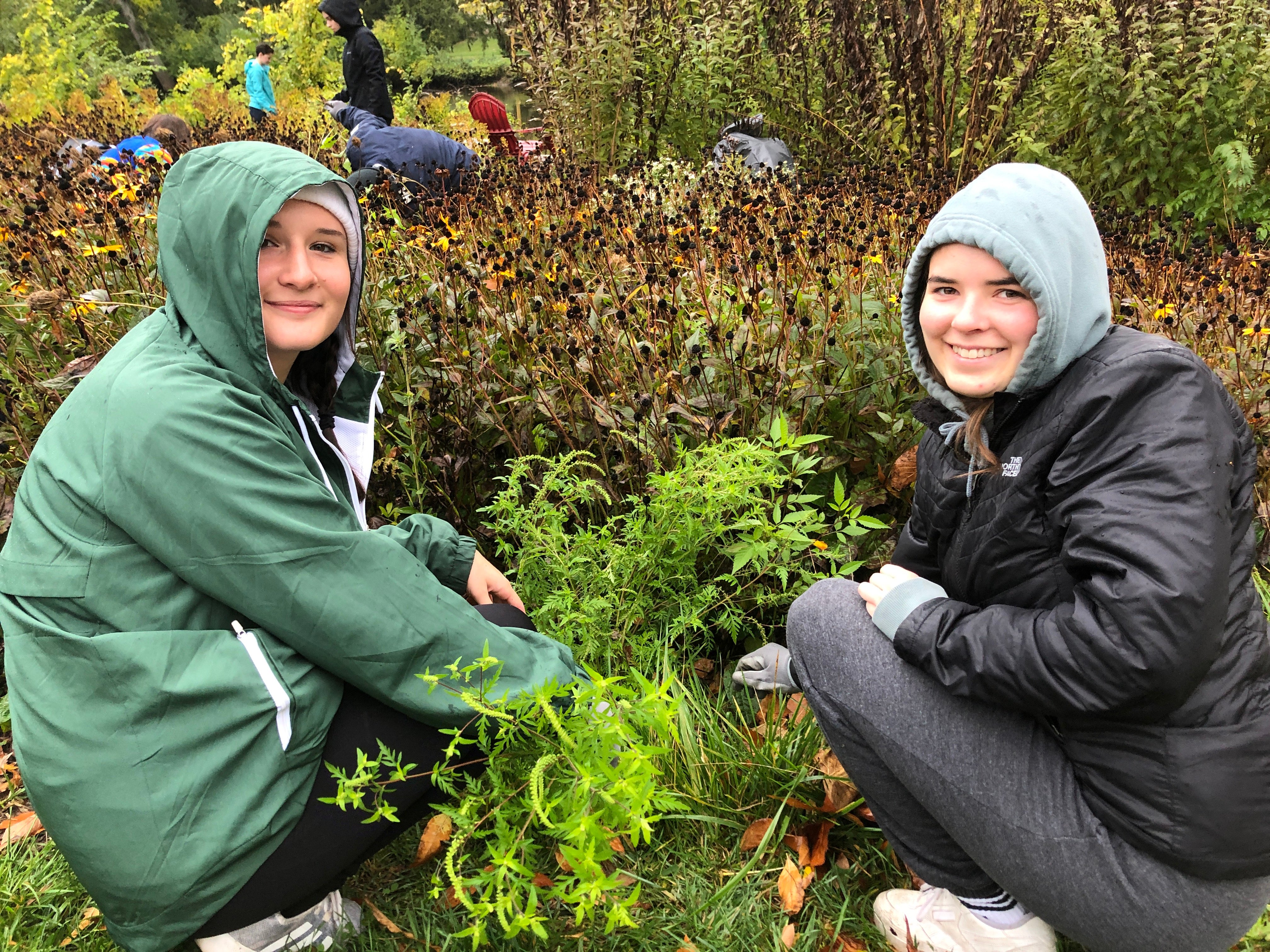Students weeding around plants for Spartan Day of Service.