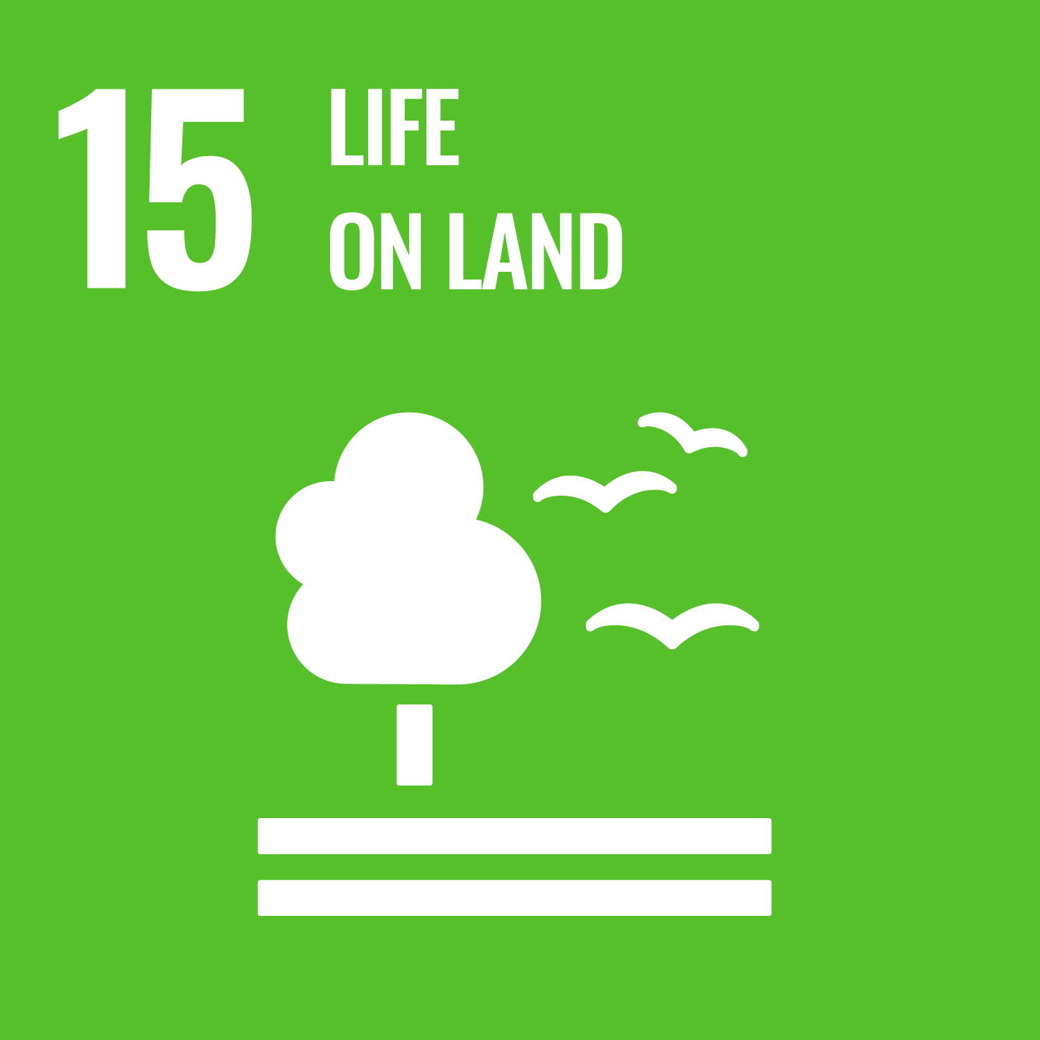 E-WEB-SDG-15-LifeLand