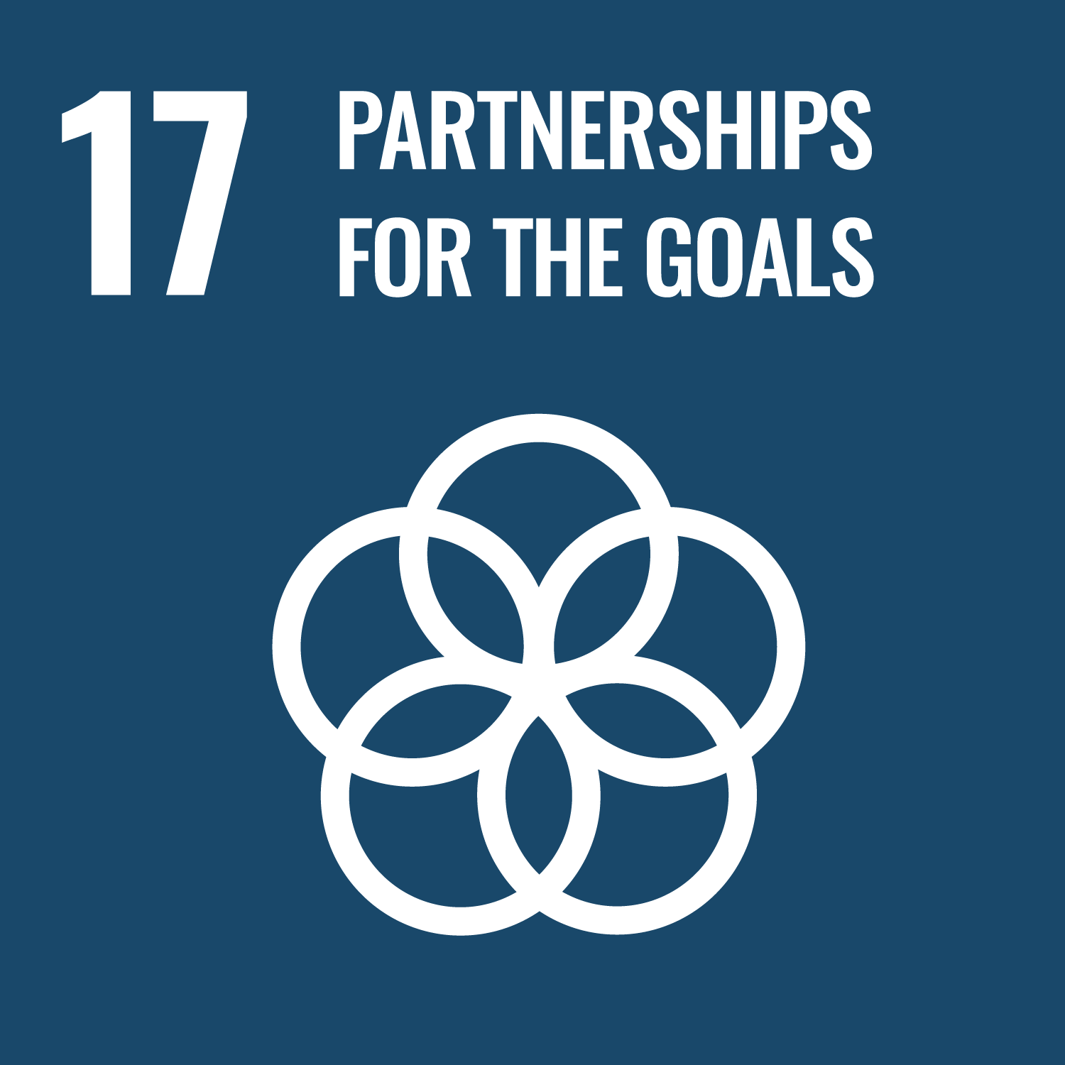 E-WEB-SDG-17-Partnerships