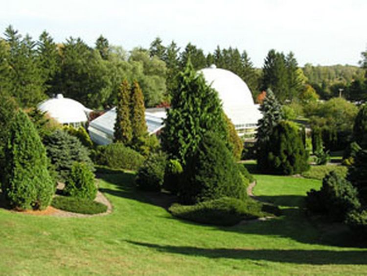 Rolling green hills with white roof of conservatory peeking through greenery