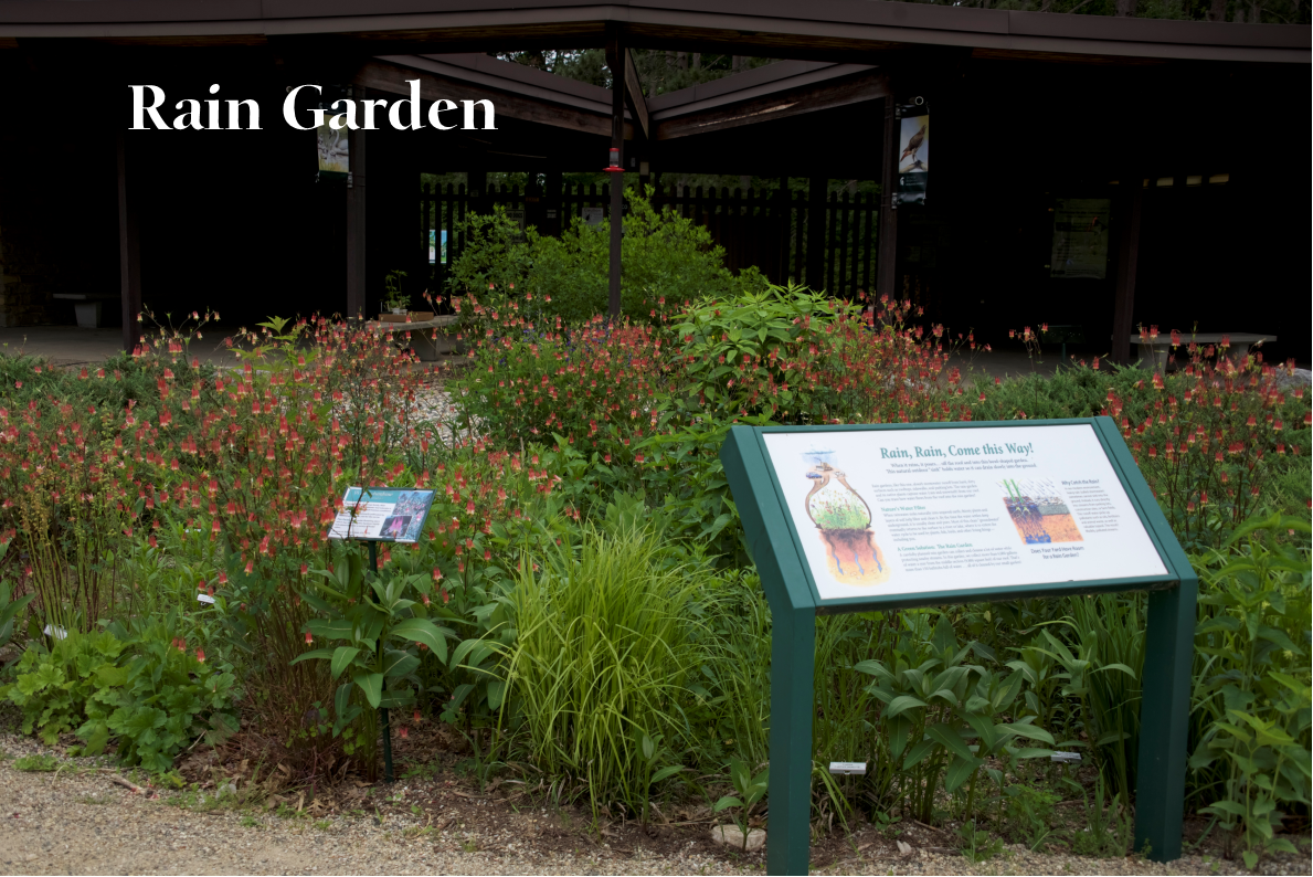 Green area with informational sign about rain