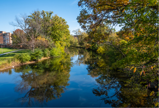 red-cedar-river