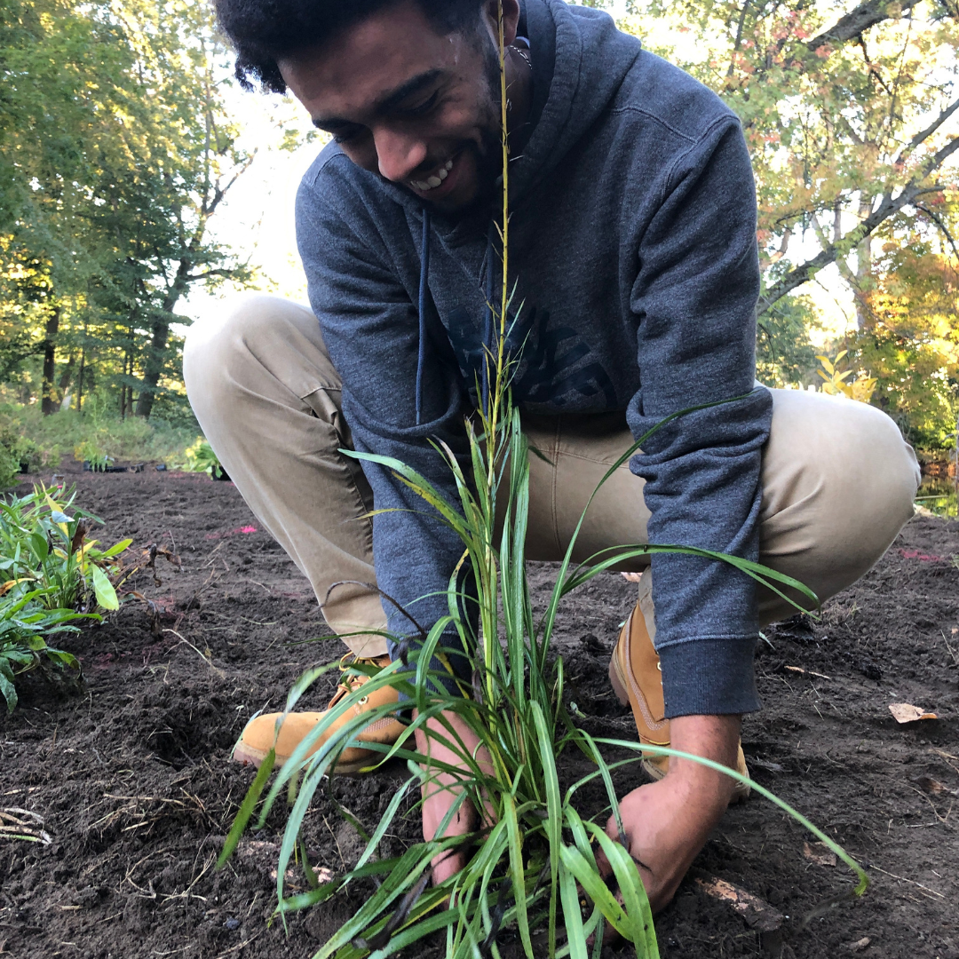 student_plant