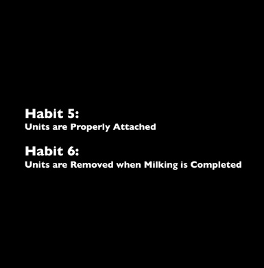 7habits_five-six