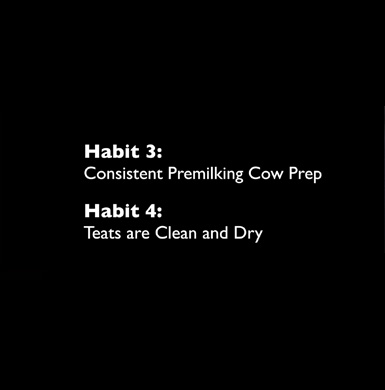 7habits_three-four