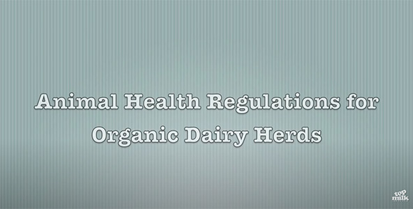 Title Animal Health Regulations for Organic Dairy_Herds