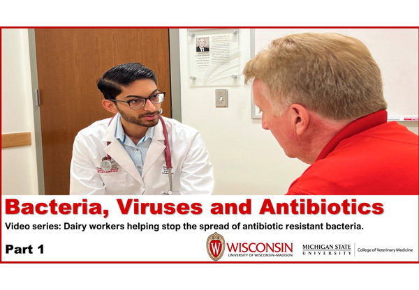 Bacteria, Viruses, and Antibiotics