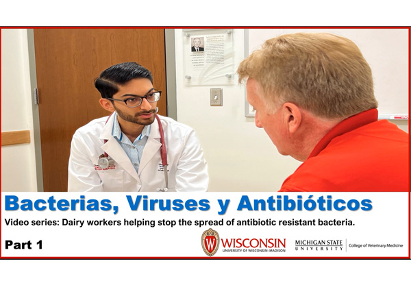 Bacterias, virus y antibióticos 