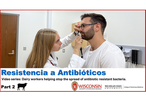 Resistencia a los antibióticos
