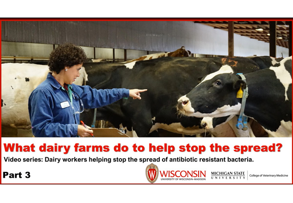 How Can Dairy Workers Help Stop the Spread?