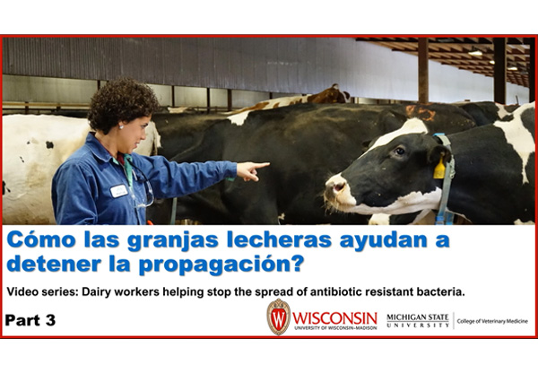 ¿Cómo pueden los trabajadores de granjas lecheras ayudar a detener la propagación?