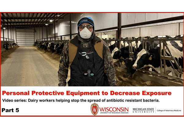 Personal Protective Equipment