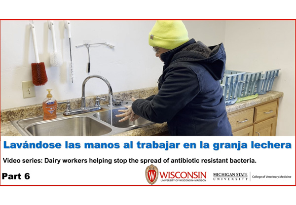 Lavado de manos
