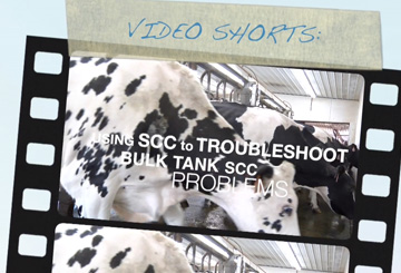 Using SCC to Troubleshoot Bulk Tank SCC Problems