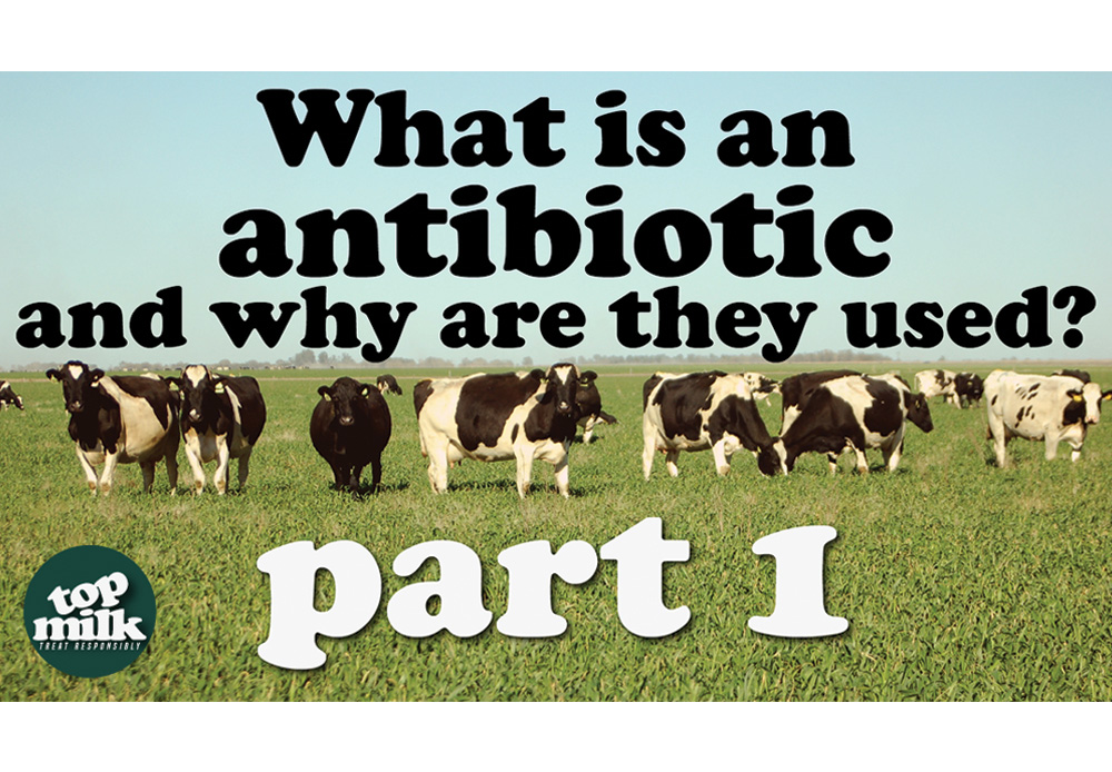 Part1 - What is an antibiotic and why are they used? - English version