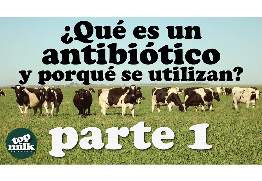 Parte 1 - ?Qu? es un antibi?tico y porqu? se utilizan? Version en espa?ol