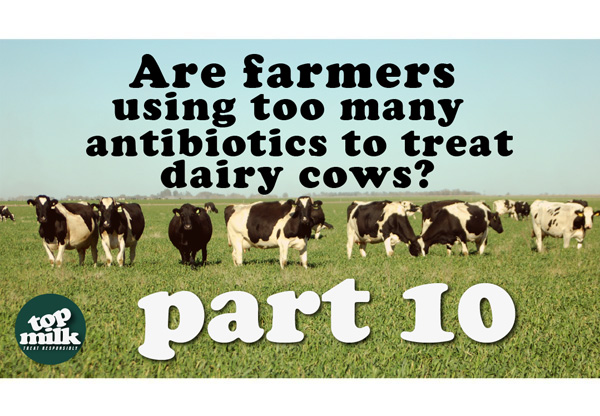 Part 10- Are farmers using too many antibiotics to treat dairy cows?