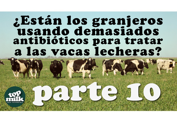 Est?n los granjeros usando demasiados antibi?ticos para tratar a las vacas lecheras