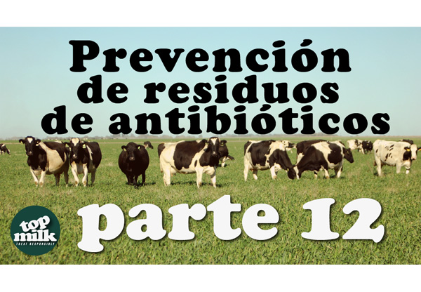 Prevenci?n de Residuos de Antibi?ticos (Versi?n en Espa?ol)