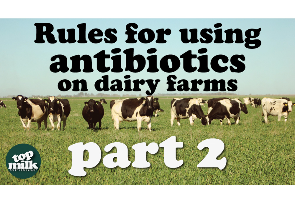 Rules For Using Antibiotic
