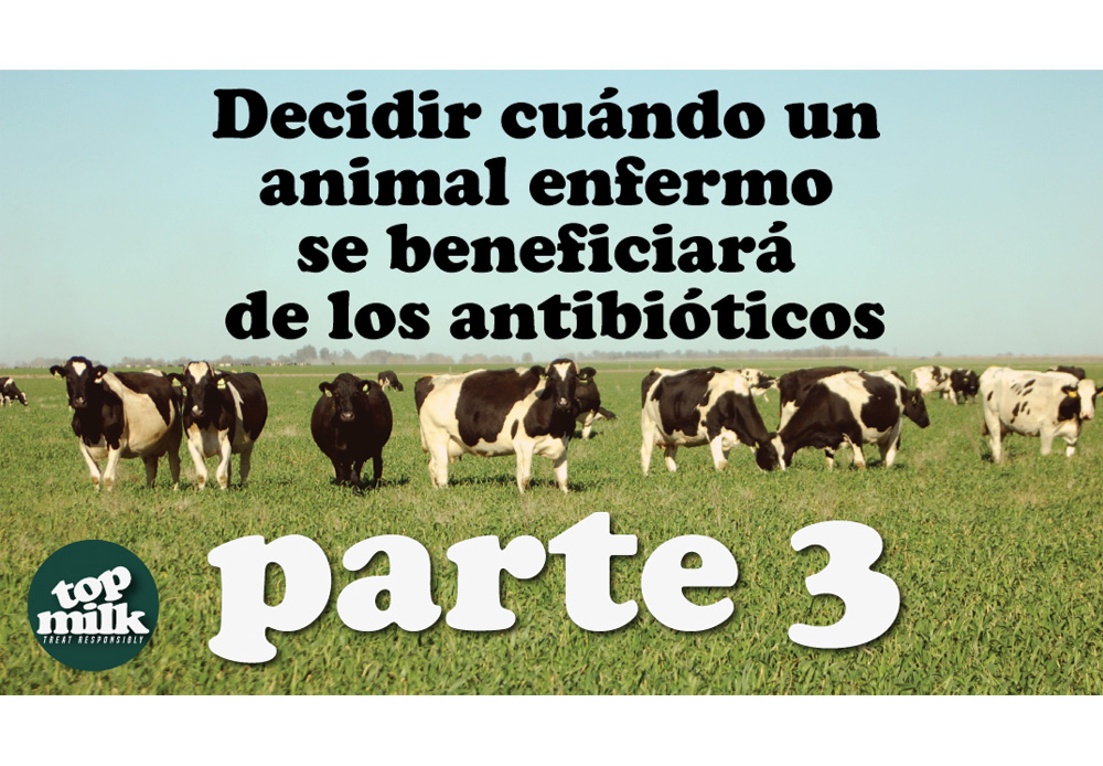 Parte 3- Decidir cu?ndo un animal enfermo se beneficiar? de los antibi?ticos ? Versi?n en espa?ol 