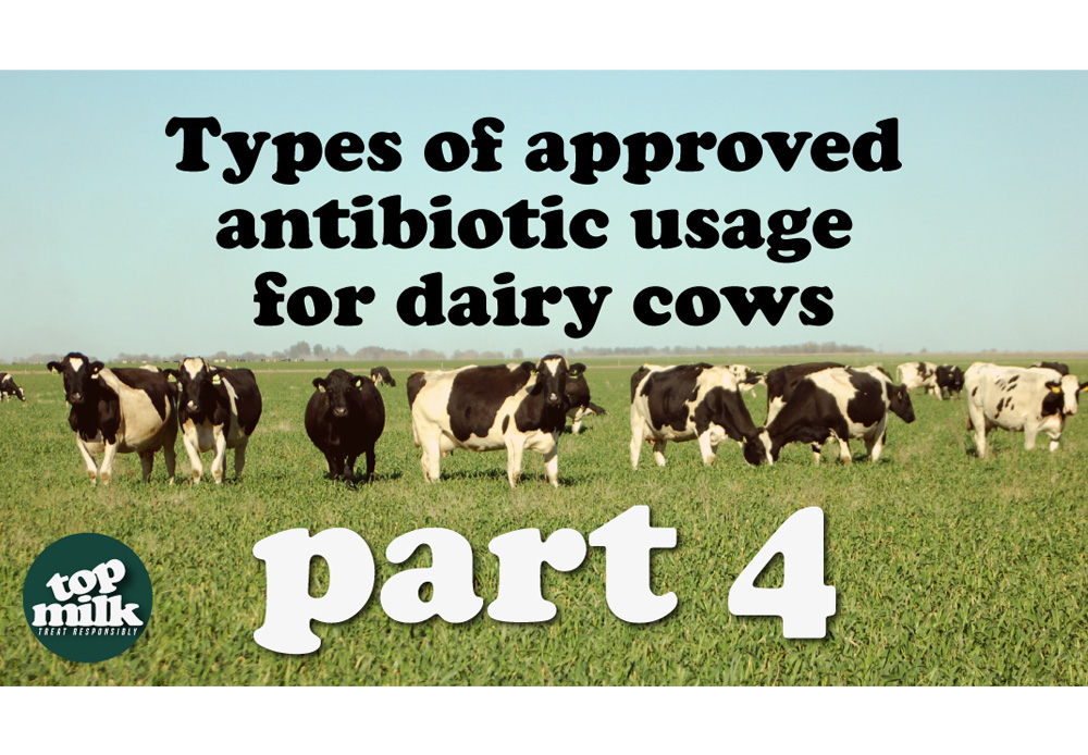 title for  Part 4- Types of Approved Antibiotic Usage for Dairy Cows (English)