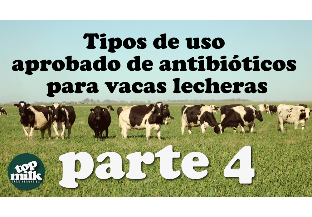 Part4-Thumbnail Spanish final