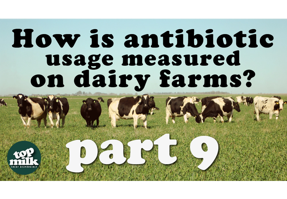Part 9 ? How is antibiotic usage measured on dairy farms? (English version)