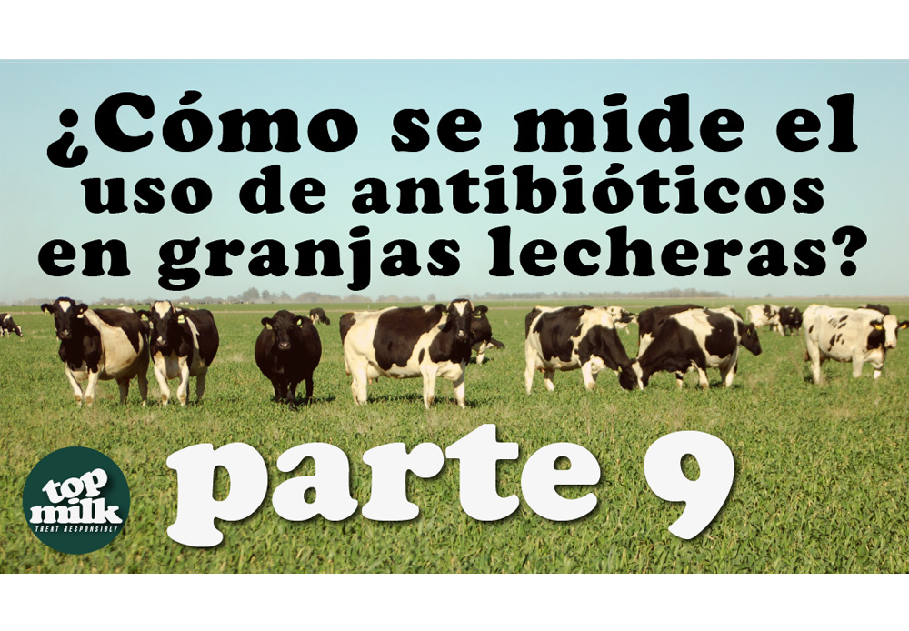 Parte 9 ? ?C?mo se mide el uso de antibi?ticos en granjas lecheras?? (Versi?n en espa?ol)