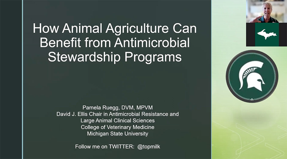 Video: How Animal Agriculture Can Benefit from Antimicrobial Stewardship Programs