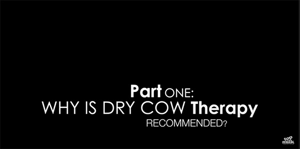 Title Why is Dry Cow Therapy