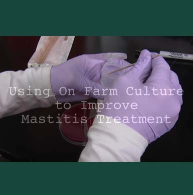 Working with test sample