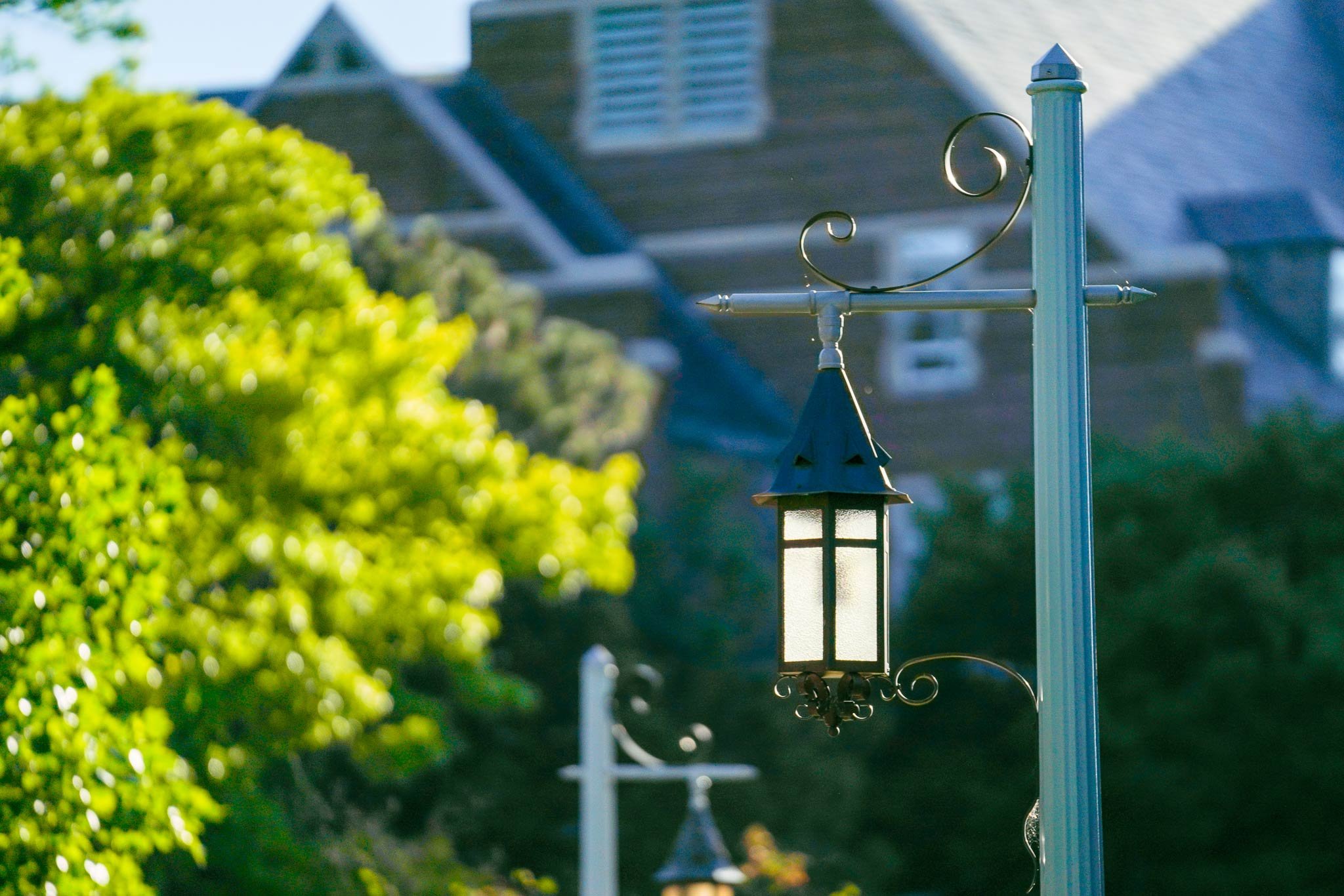 Lamp post on MSU campus