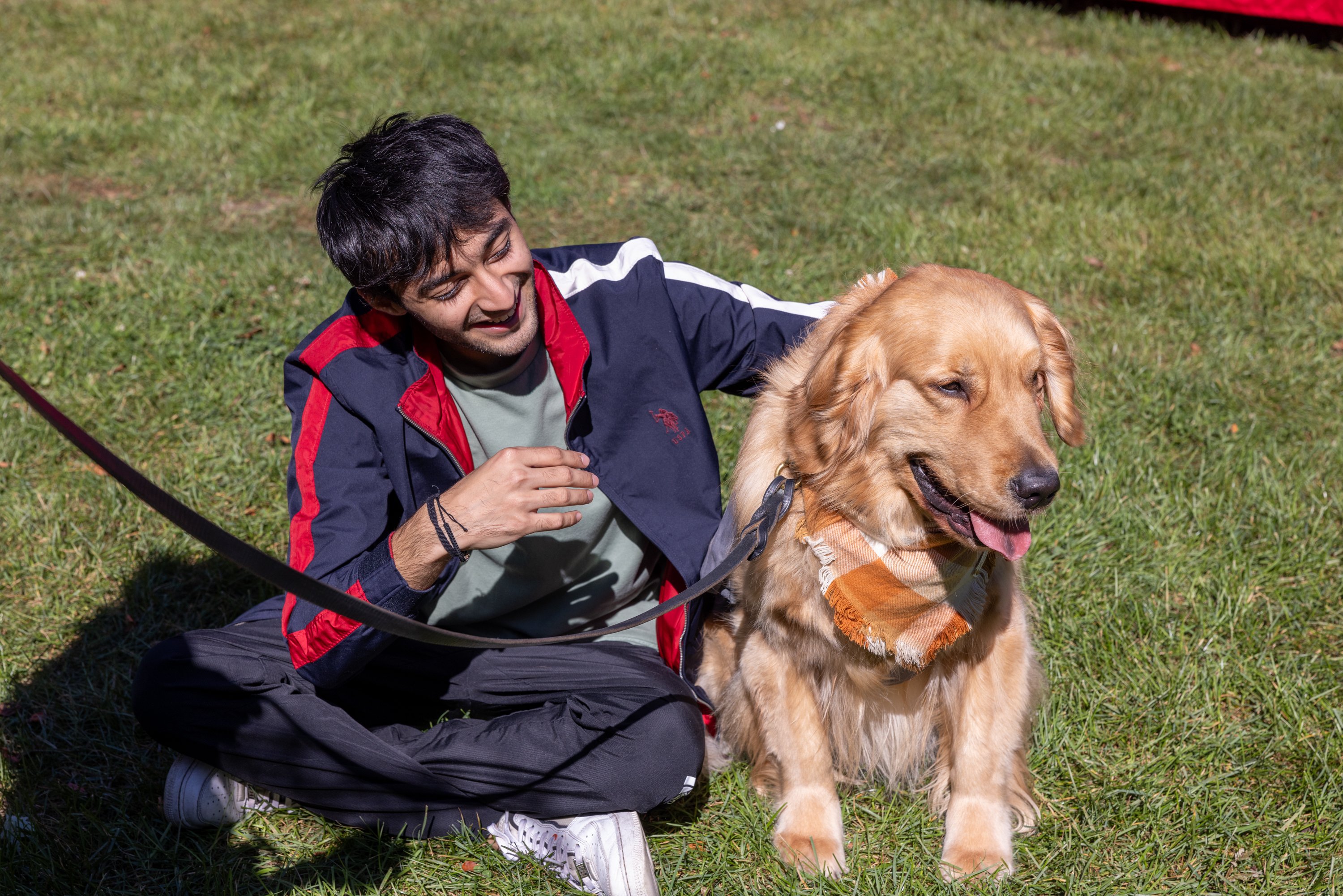 a person sitting with a dog