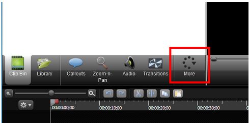 Screenshot of the More button in Camtasia Studio