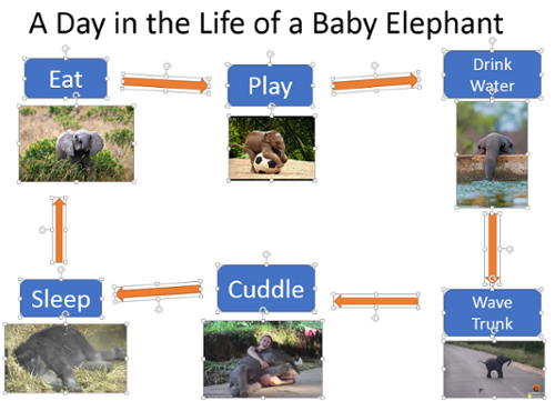 Example of Flow chart