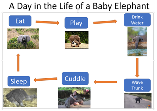 Example of Flow chart