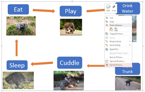 Drop down menu from right clicking on flow chart image. Format Picture option selected