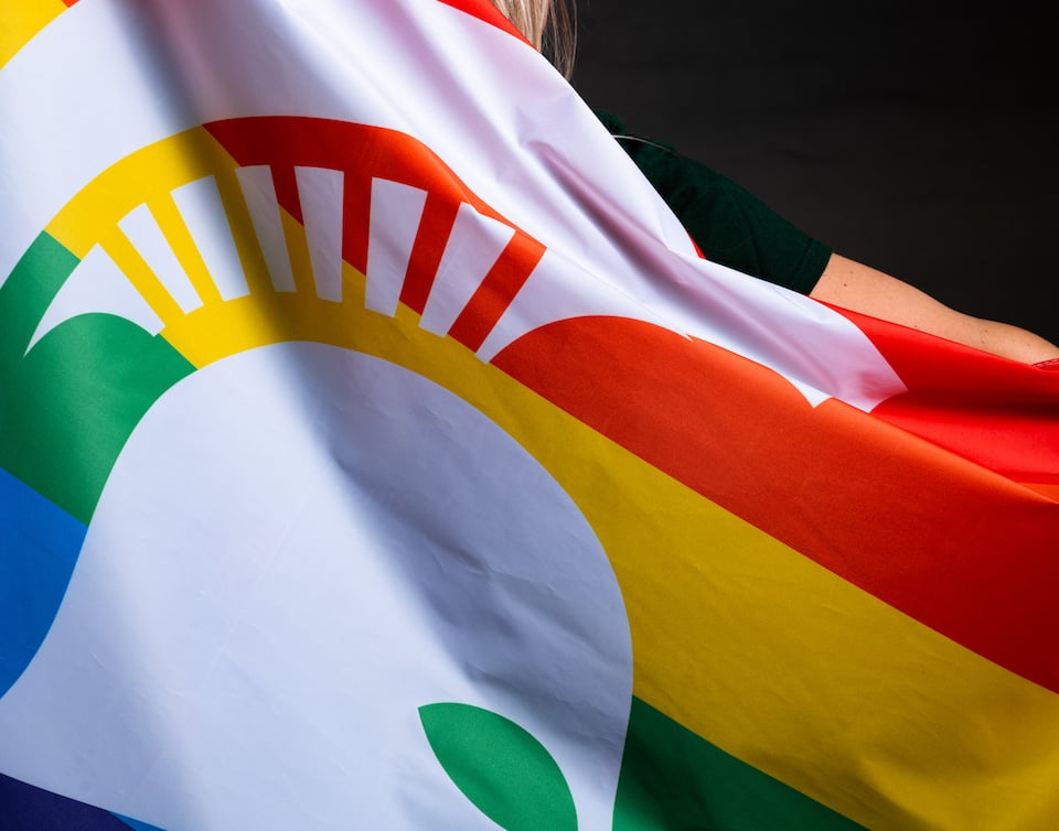 Pride flag with Spartan helmet.