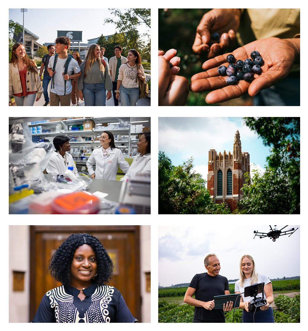 Examples of MSU photography