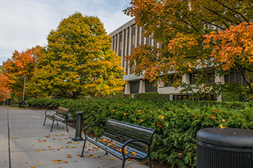 benches along a walkway of colorful trees