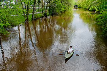 kayaker on the river surrounded by bright green trees