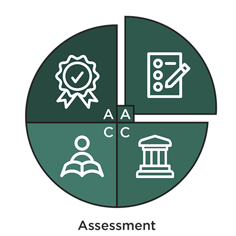 Assessment icon