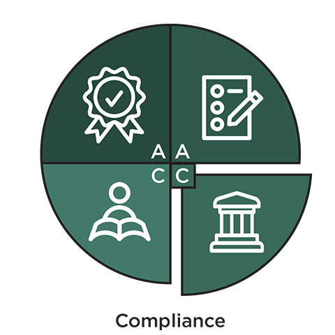 Compliance icon