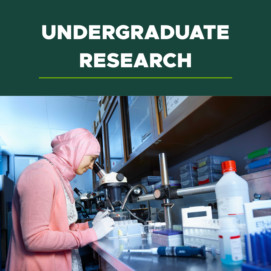 Undergraduate Research