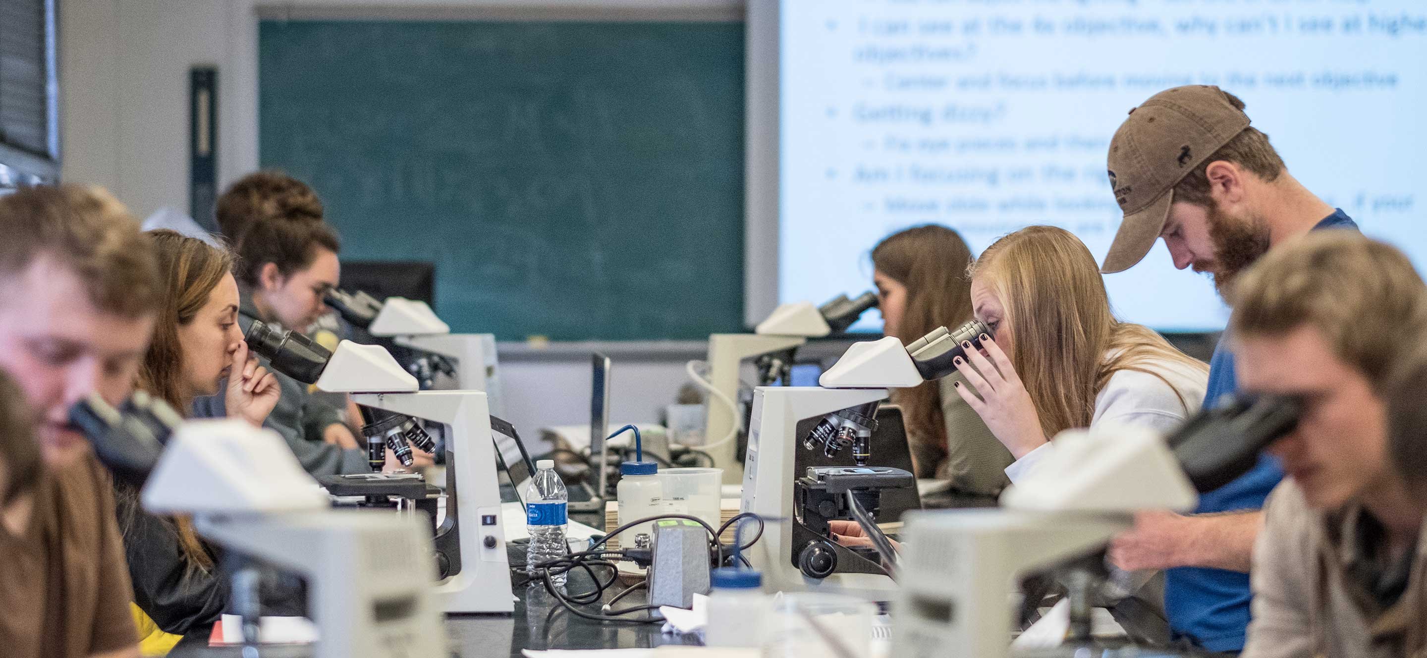 Students with microscopes in classroom