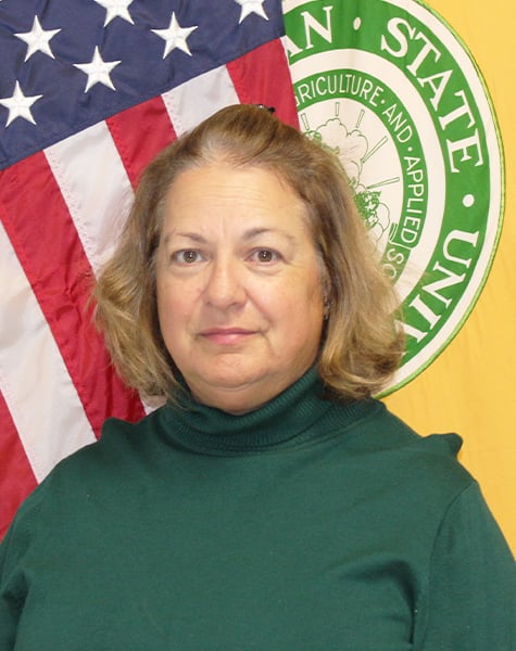 Portrait photo. Subject is looking at the camera and can be seen from mid-chest up. They are wearing a long-sleeved green turtleneck shirt with hair down to their shoulders. They are standing in front of an American flag and yellow flag with the MSU seal on it. 