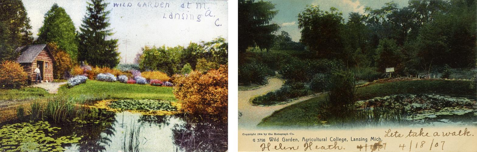 two historical color postcards of the garden