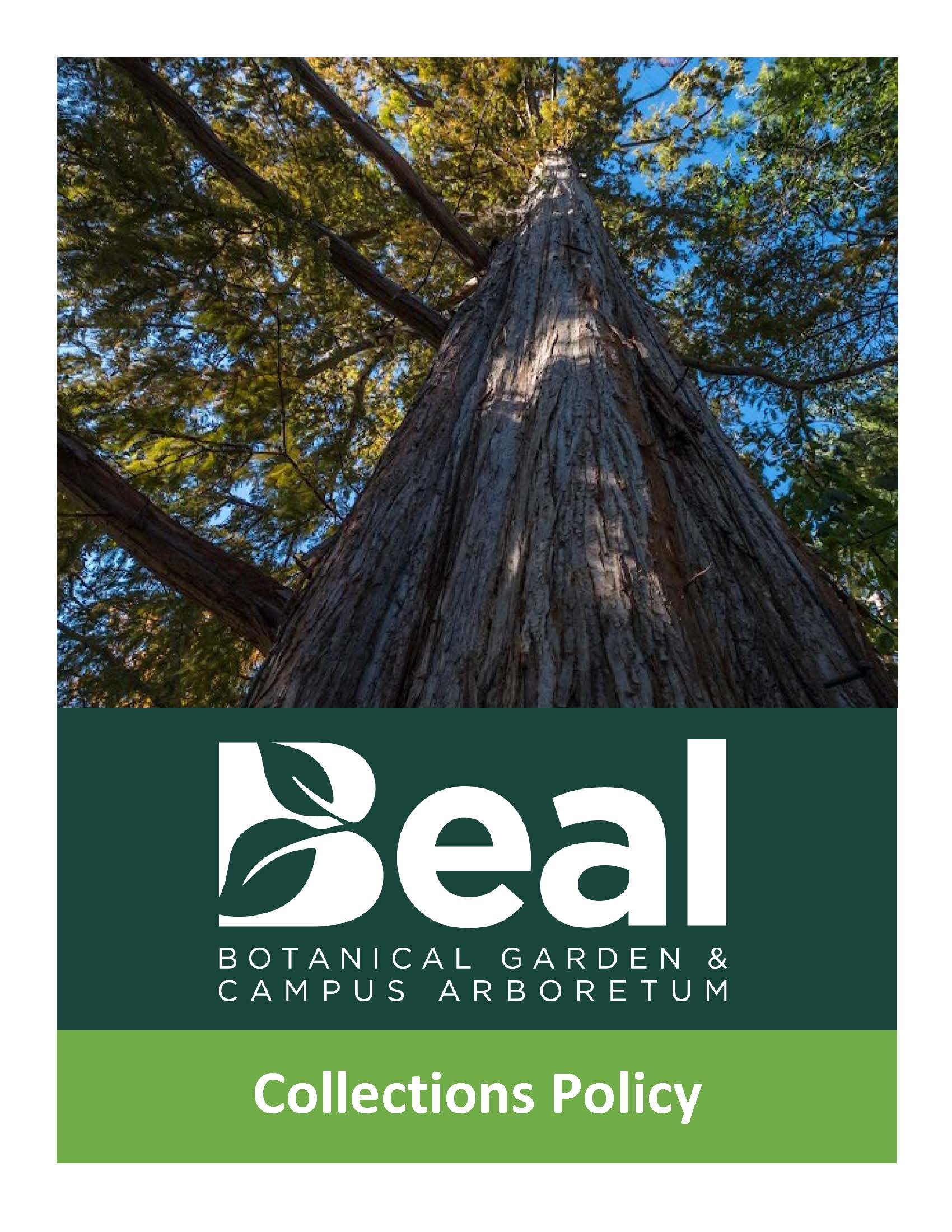 cover page of collections policy featuring a photo of a large tree