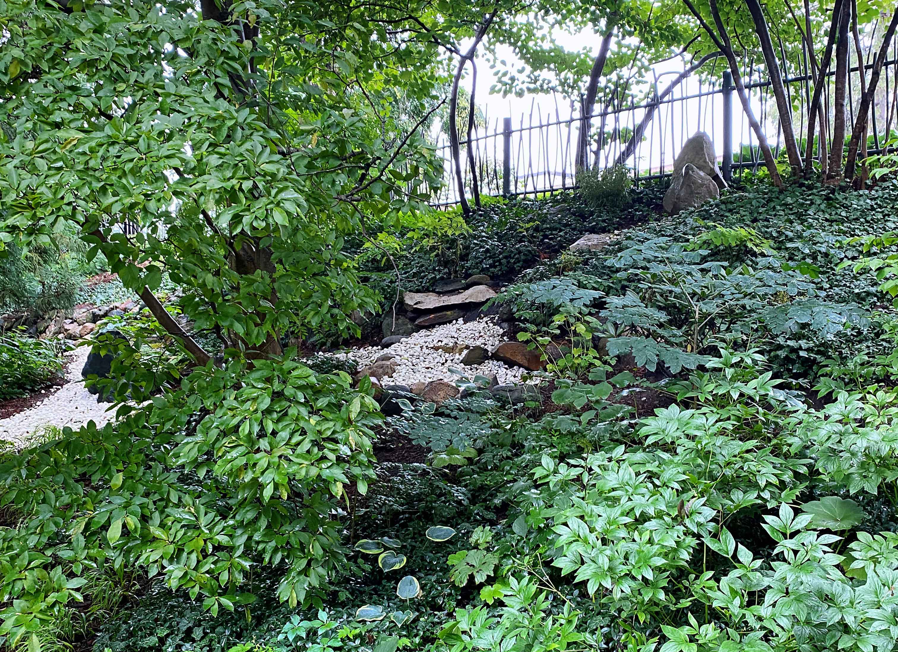 The Asian Hillside Garden